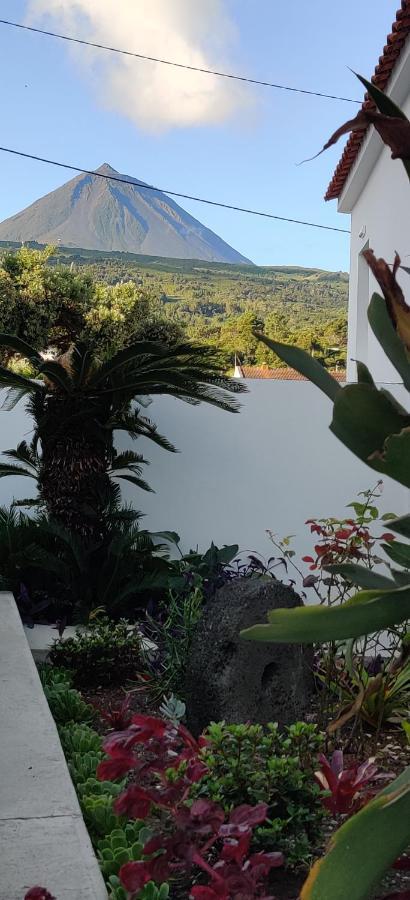 Casa Da Avo Biza Villa São Roque do Pico Екстериор снимка